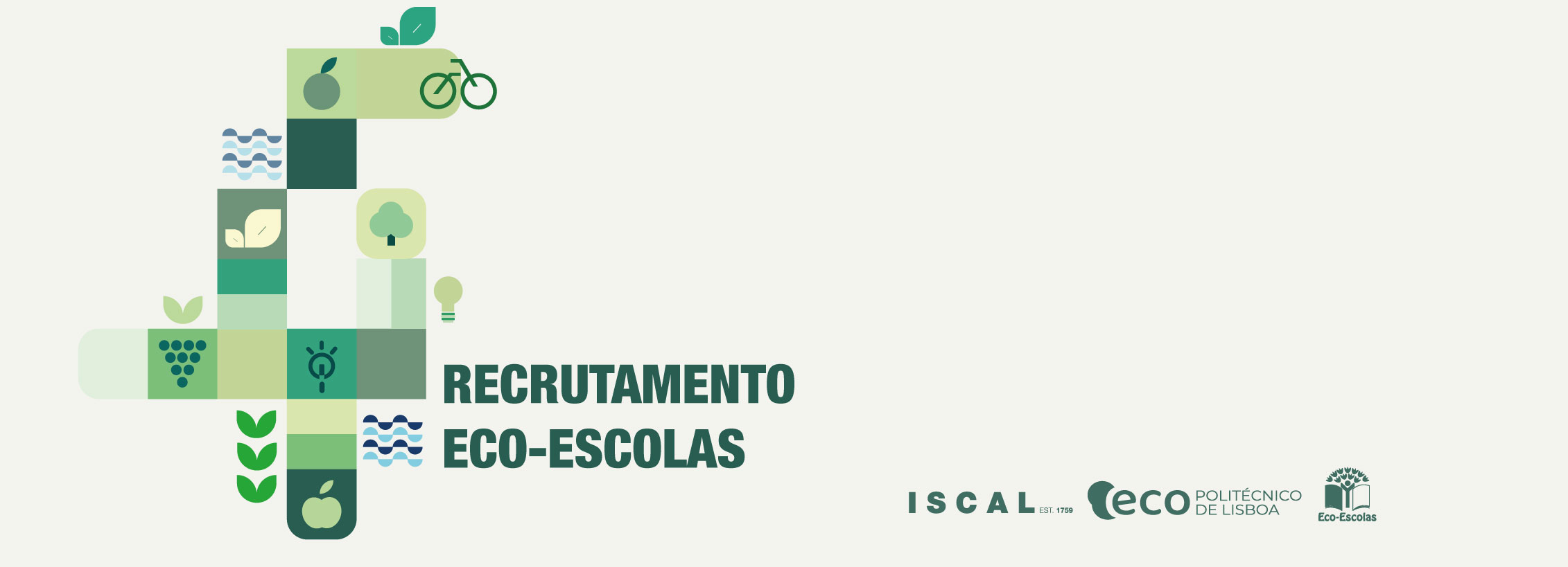 20241119_recrutamento_eco_escolas_novosite